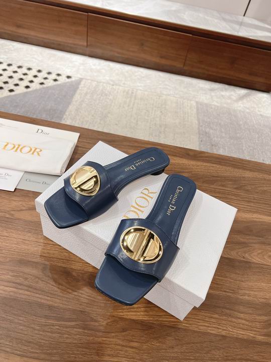 Dior Slippers Wmns ID:20250529-285